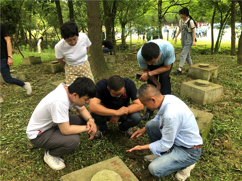 白蟻分飛期，嘉興白蟻防治行業(yè)在行動！(圖2)